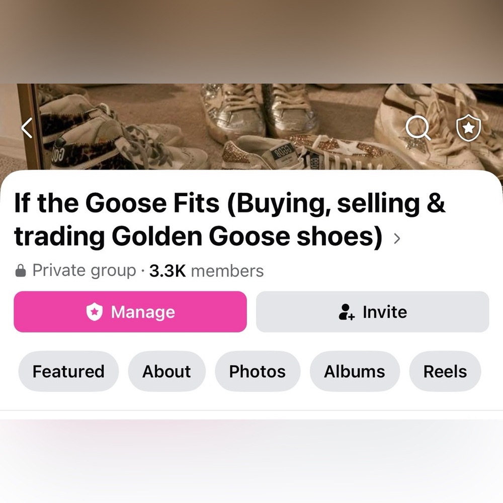Golden Goose Mask - Picture 4 of 4